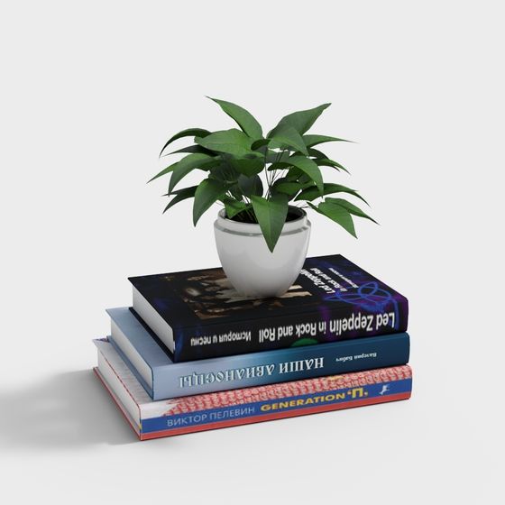 Bookshelf with Green Plant 3D model