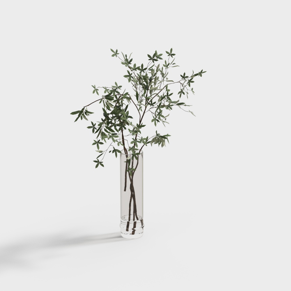 Olive Branch in Glass Vase 3D model