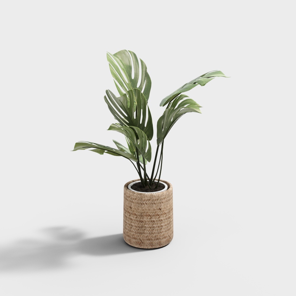 Tropical Plant Pot 3D Model – Low-Poly Natural Design