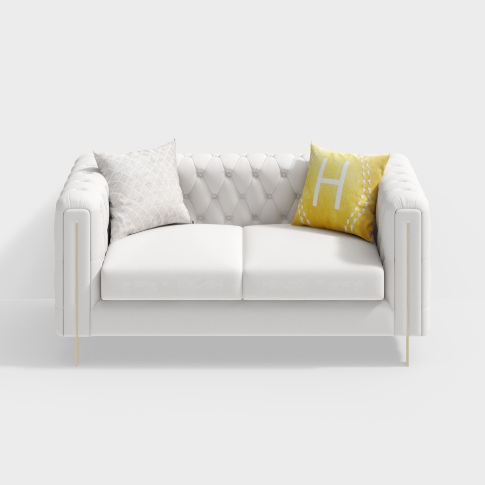 Leather metal double sofa - BSGSA261 - House of Light