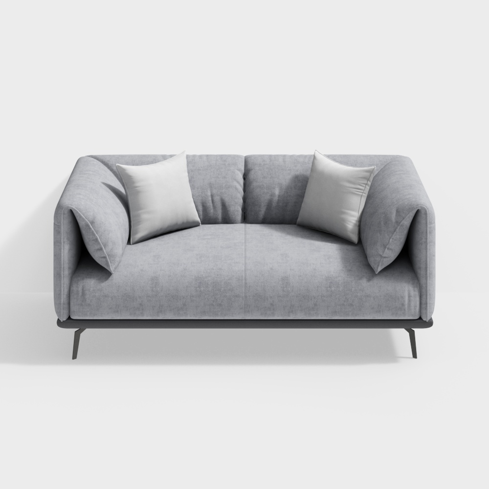 Fabric metal double-seat sofa -BSJS023-Senkelo