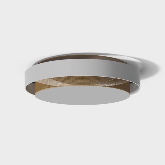 Minimalist Ceiling Light 3D model