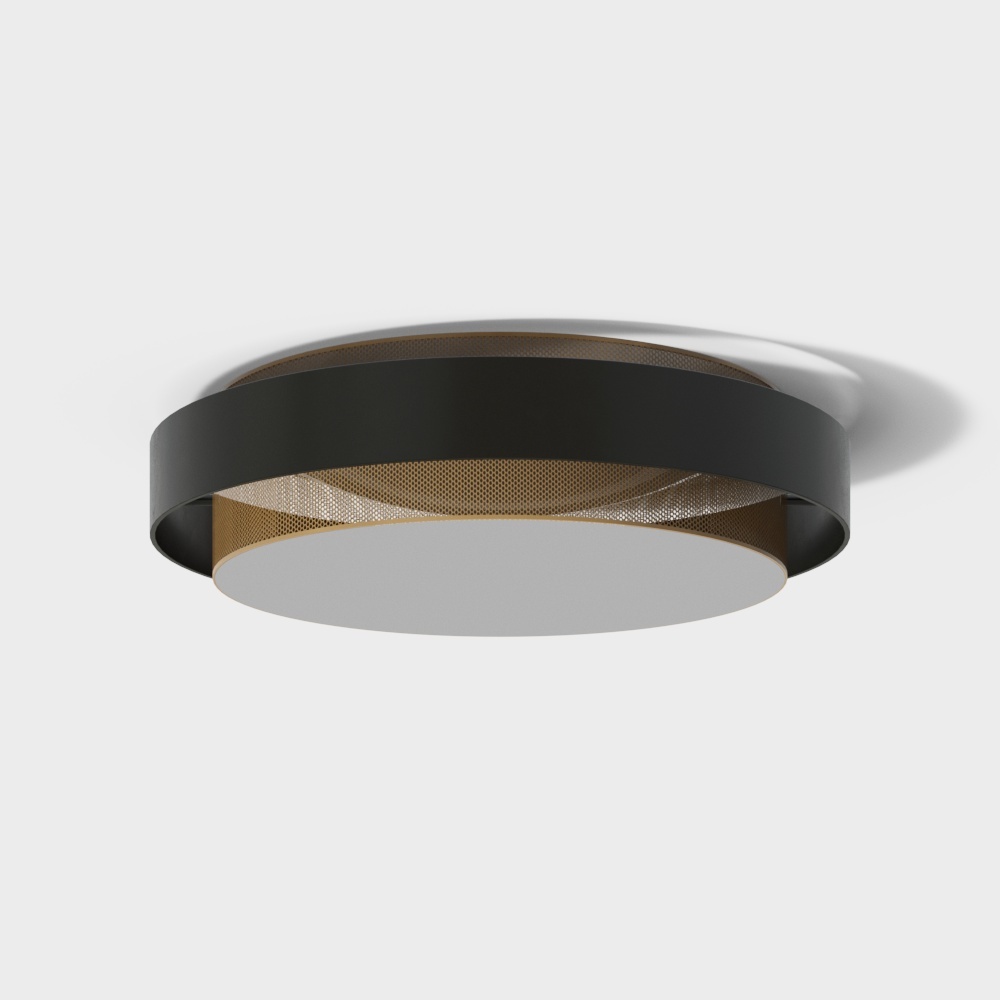 Modern simple ceiling lamp black