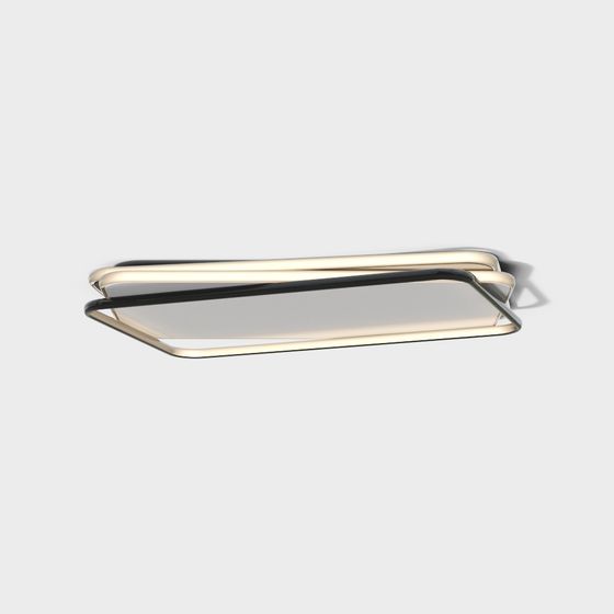 Sleek Modern Ceiling Lamp 3D Model in Black and Gray