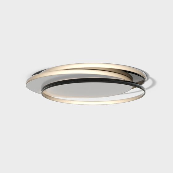Elegant Dual-Ring Ceiling Light 3D model