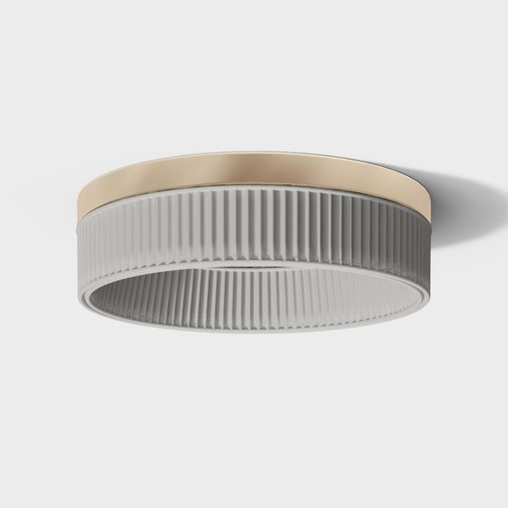Elegant Modern Ceiling Light 3D model
