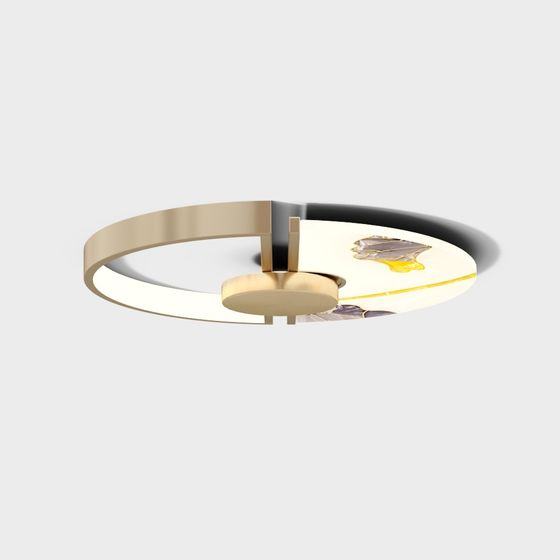 Stylish Artistic Ceiling Light 3D model