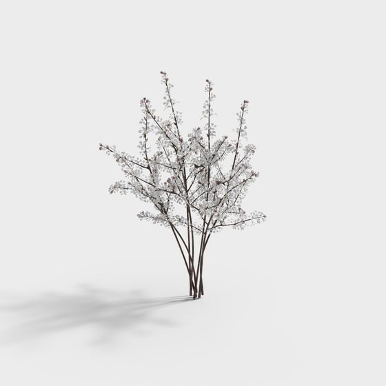 Elegant Cherry Blossom Tree 3D model