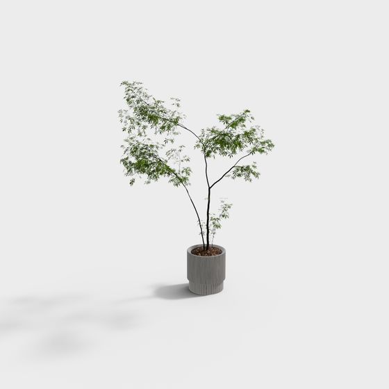 139 식물 장식 플랜트 2 PD