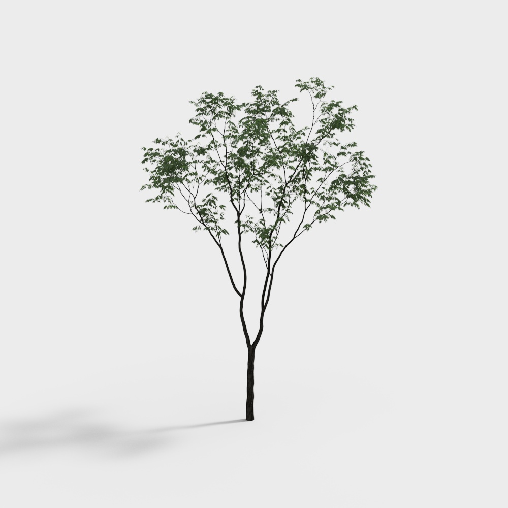 tree 002