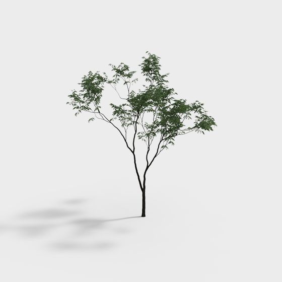 Vibrant 3D Tree Model with Detailed Texture