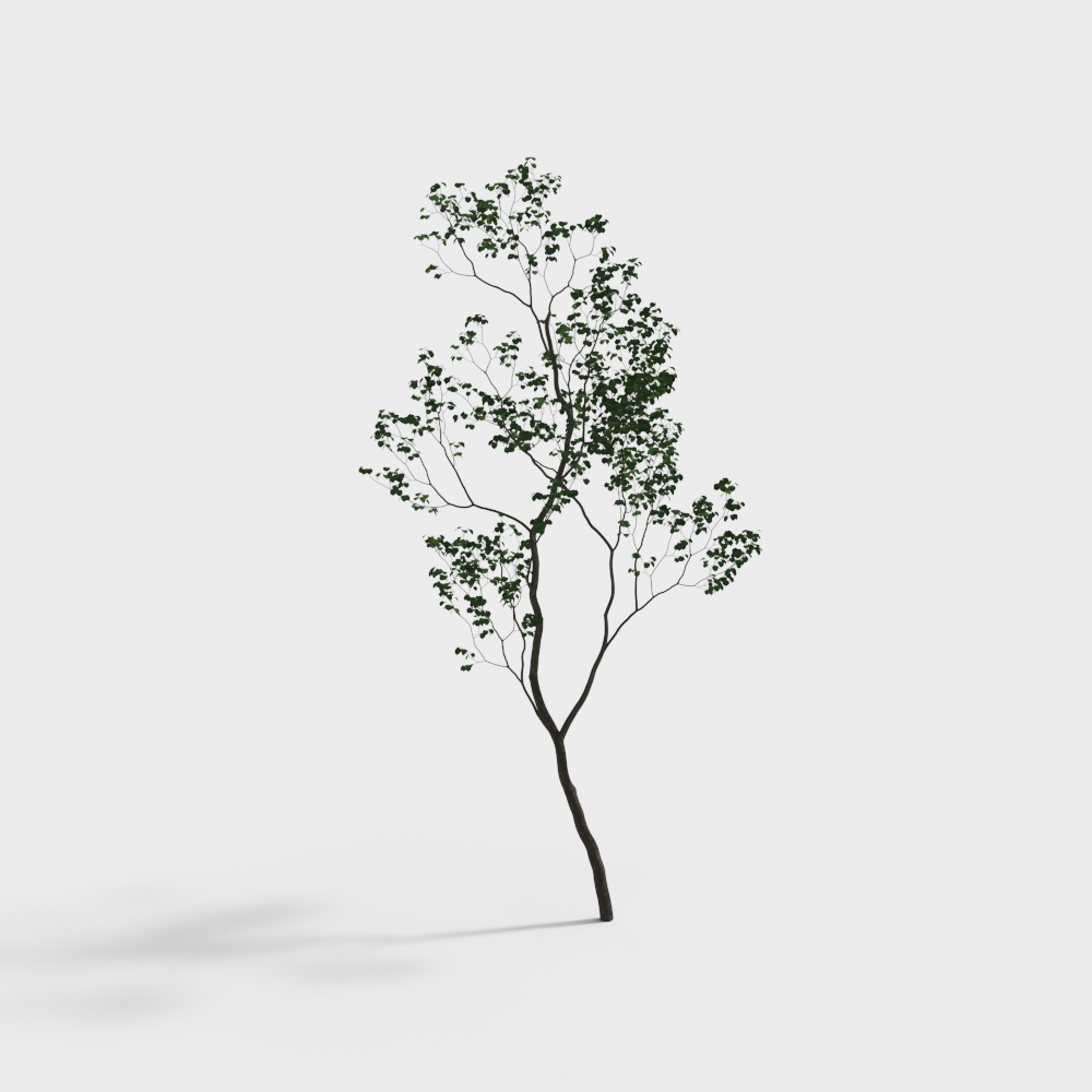Vibrant Low-Poly 3D Tree Model