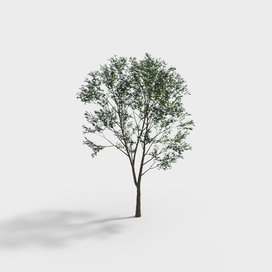 Vibrant Low-Poly Tree 3D Model