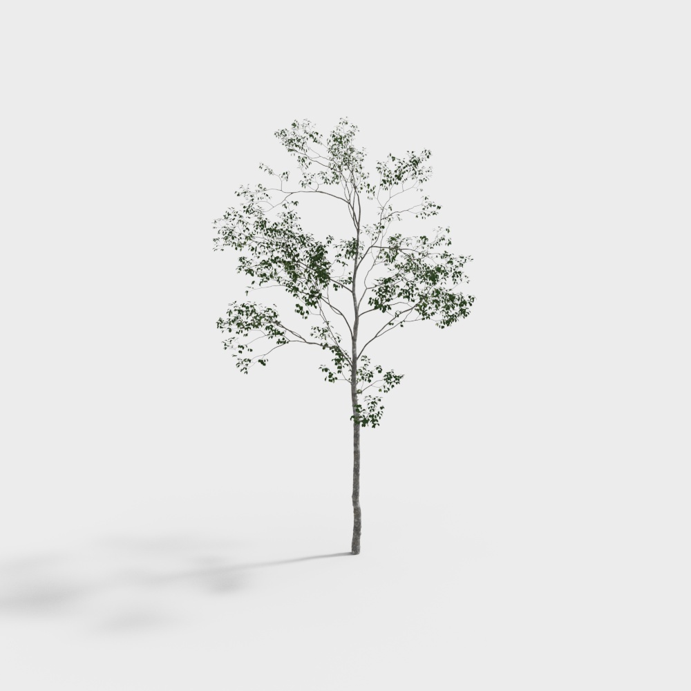 arbre 015