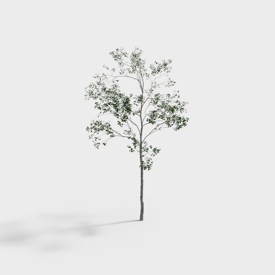 Low Poly Detailed 3D Tree Model