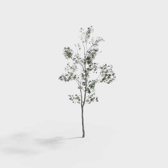 Vibrant Low-Poly 3D Tree Model