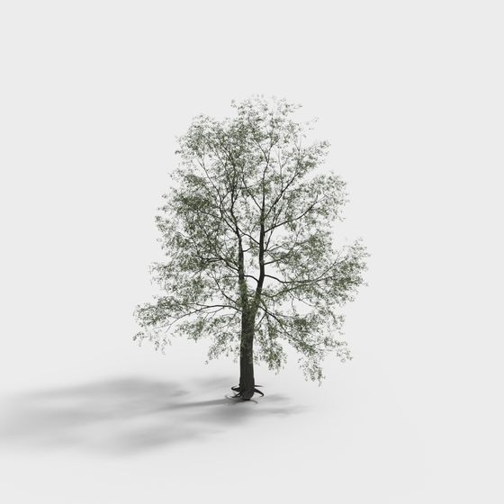 Low Poly 3D Tree Model for Creative Projects