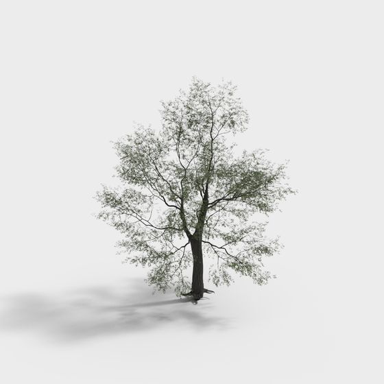 Realistic Low-Poly Oak Tree 3D model