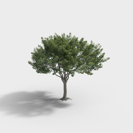 Vibrant Low-Poly 3D Tree Model