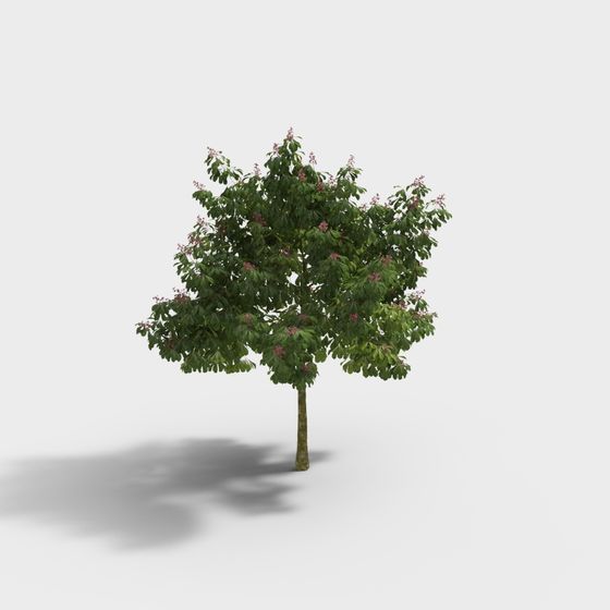 Vibrant Oak Tree 3D model