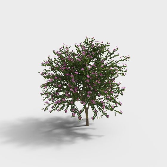 Beautiful Blooming Tree 3D model with Pink Flowers