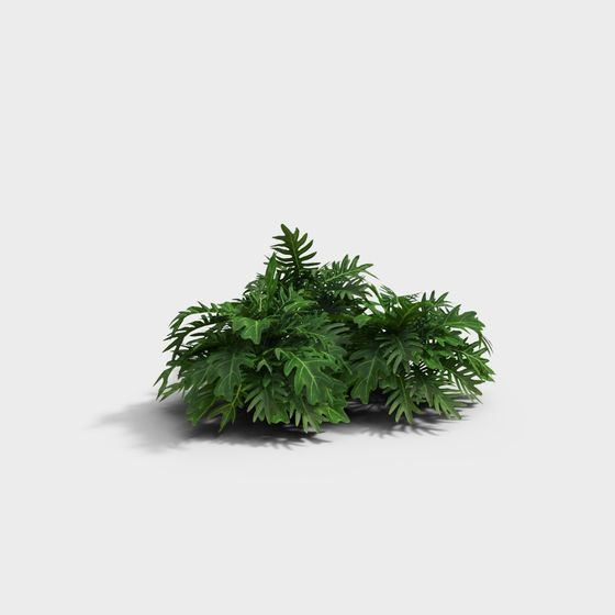 Tropical Plant 3D Model