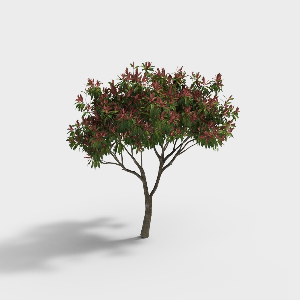 tree 061