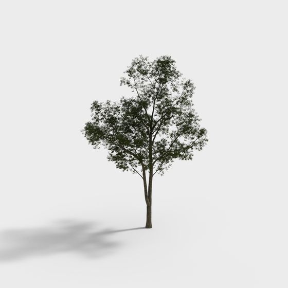 Lifelike Low-Polygon Tree 3D Model