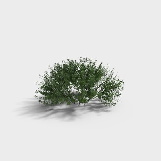 Soul of the Forest 3D Model for Creative Projects