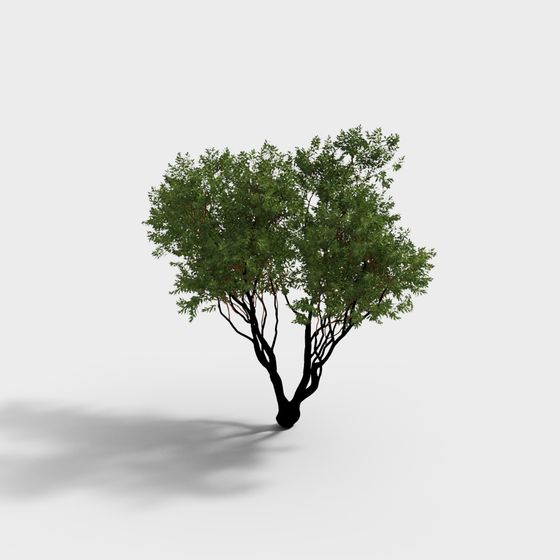 Lively Low-Polygon 3D Tree Model - Forest Guardian