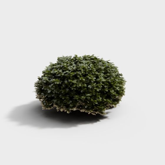 Low Polygon Dome Shrub 3D Model