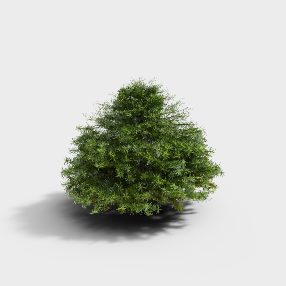 tree 057