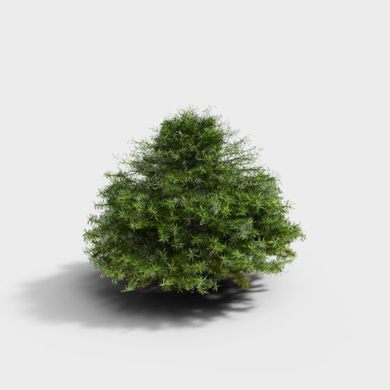 Forest Sprite Pine Tree 3D model