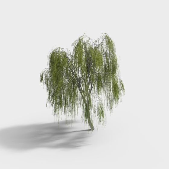 Realistic Weeping Willow 3D model for Creative Projects
