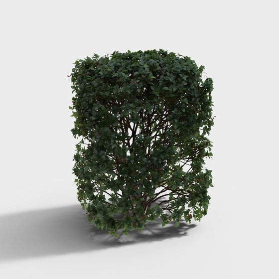 Vines Bush Low Poly Detailed 3D Model