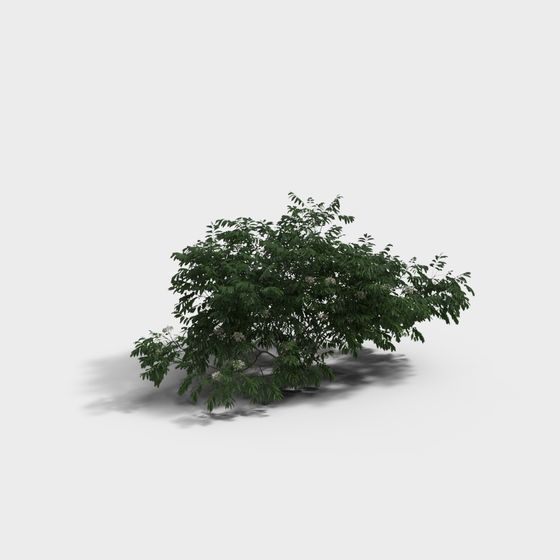 Forest Fairy 3D Model Bush for Creative Projects