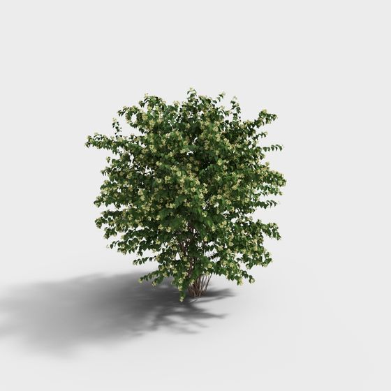 Vibrant Garden Shrubs 3D model