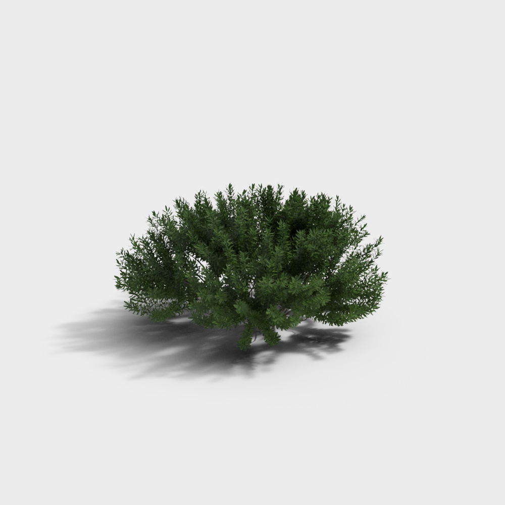 Forest Sprite Low-Poly 3D Model