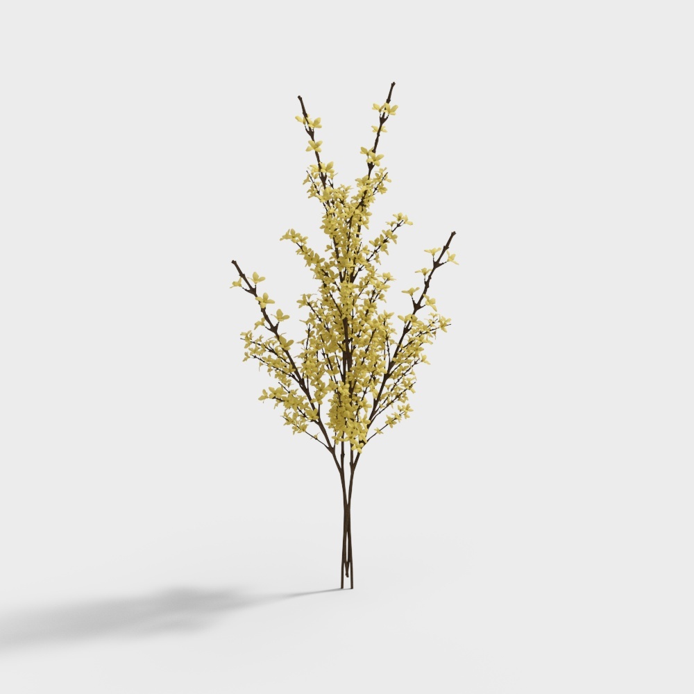 Fleurs séchées jaunes