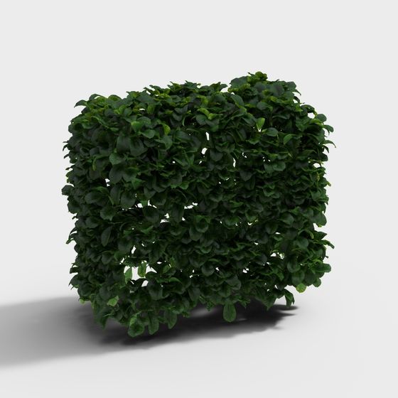 Lush Hedge 3D model for Vibrant Nature Scenes