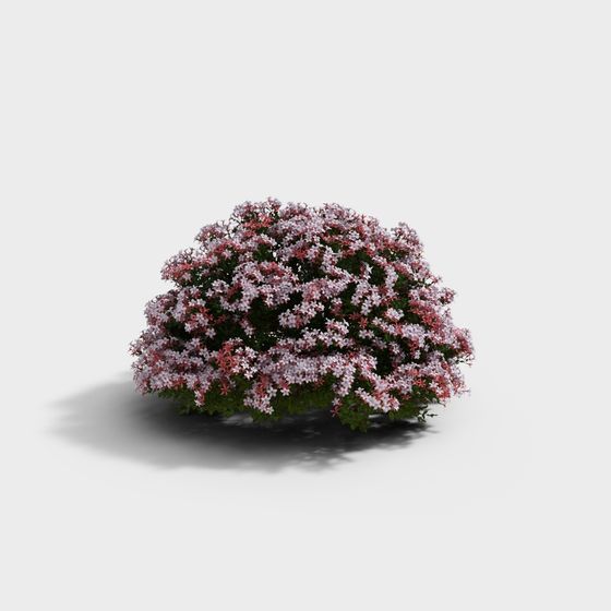 Vibrant Flowering Shrub 3D model