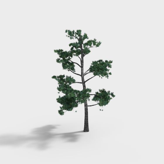 Realistic Low-Poly Pine Tree 3D model