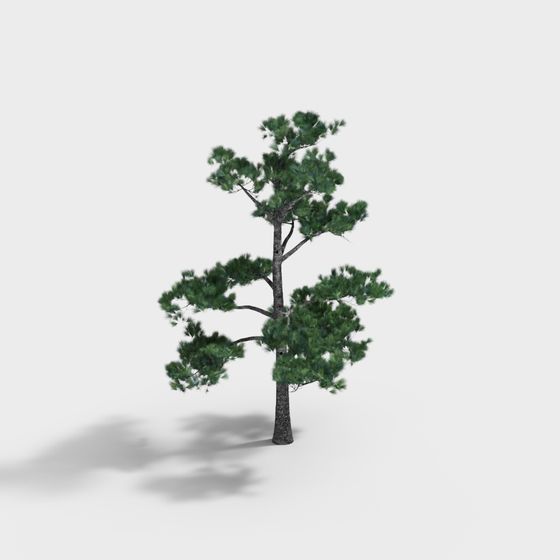 Realistic Low-Poly Pine Tree 3D model