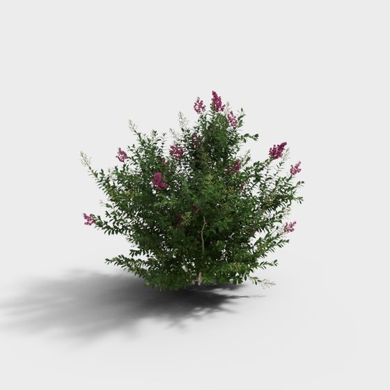 Lavender Bush 3D Model for Creative Projects