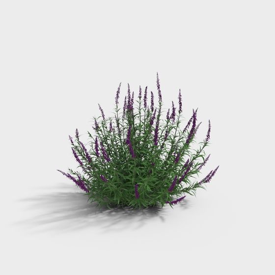 Low-Poly Lavender 3D Model for Creative Projects