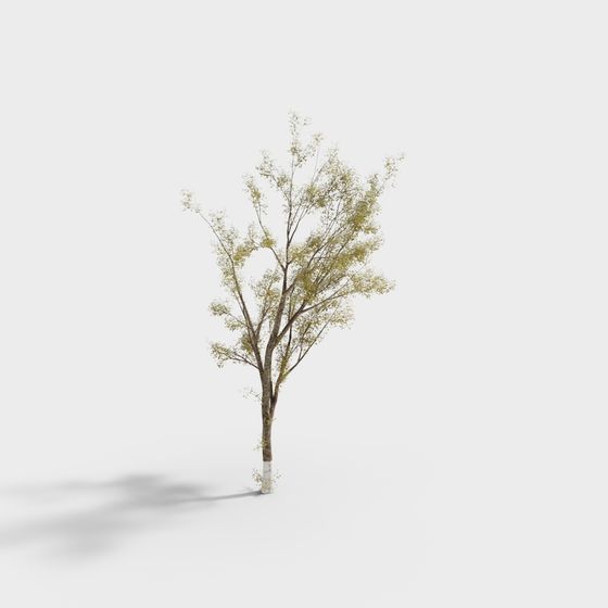Realistic Low-Polygon Tree 3D Model for Designs