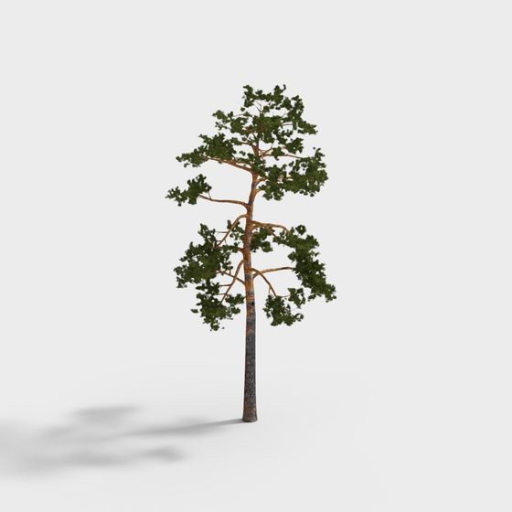 Stylish Low Polygon Pine Tree 3D model for Creative Projects
