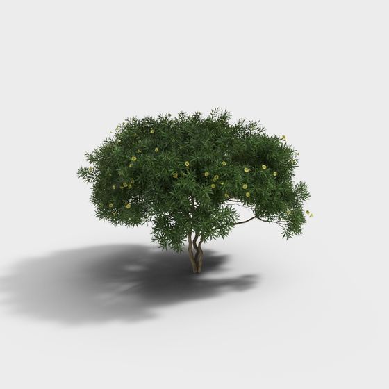 Jungle Tree 3D model for Creative Projects