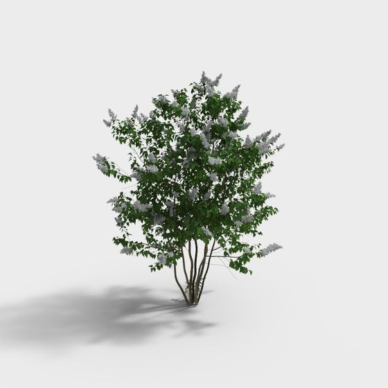 Vibrant Lilac Tree 3D model for Creative Projects