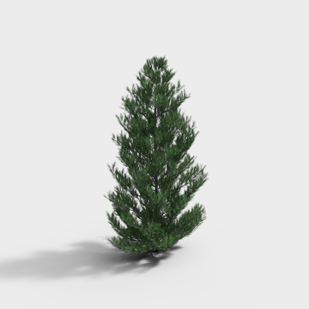 ต้นไม้ 176